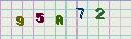 visual captcha