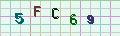 visual captcha