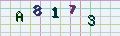 visual captcha
