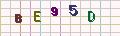 visual captcha