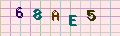 visual captcha