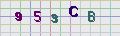 visual captcha